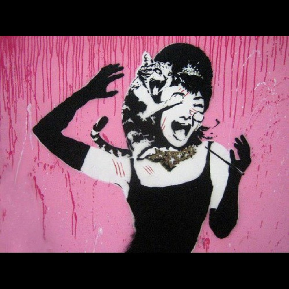 Meet your Posher, Janell